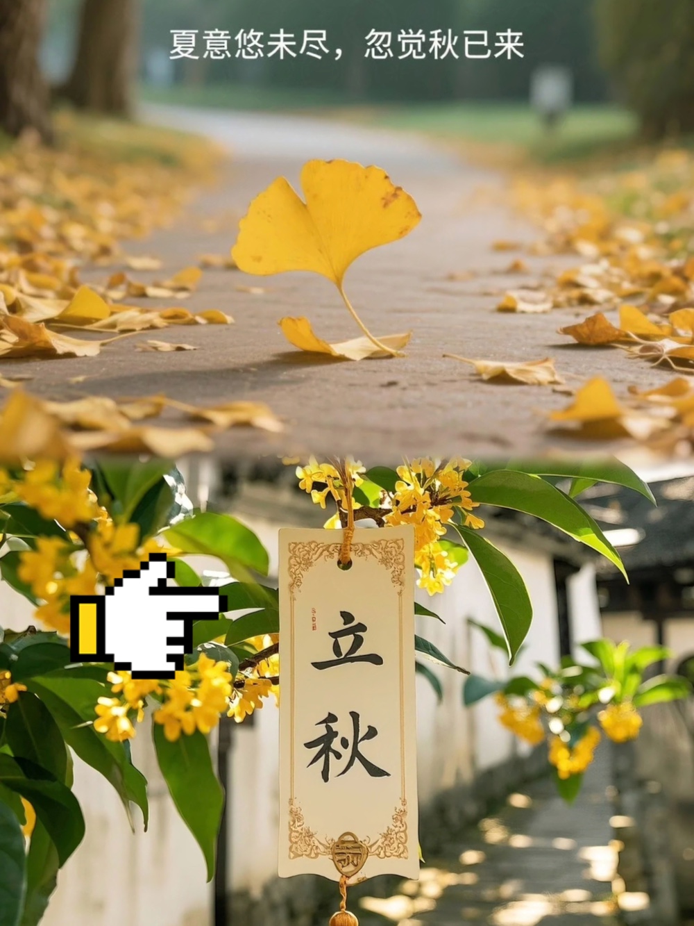 娱乐生活 第32页