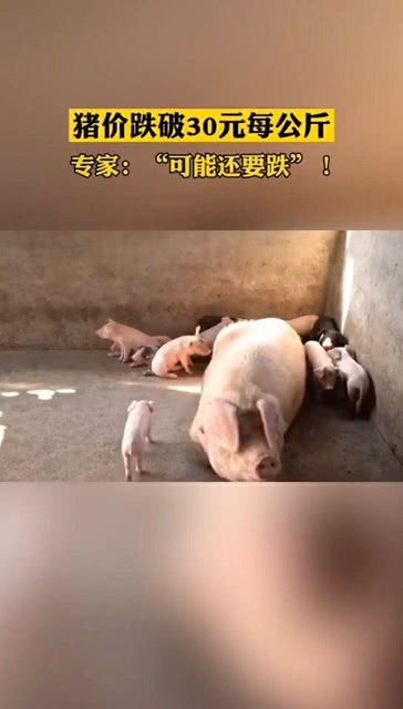 港澳新闻 第8页
